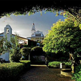 Bogotá: Artesanos de paz y promotores de vida